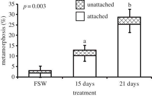 Figure 1.