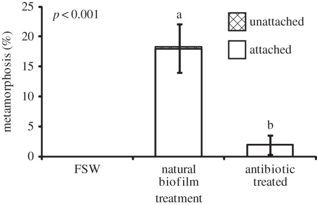 Figure 2.