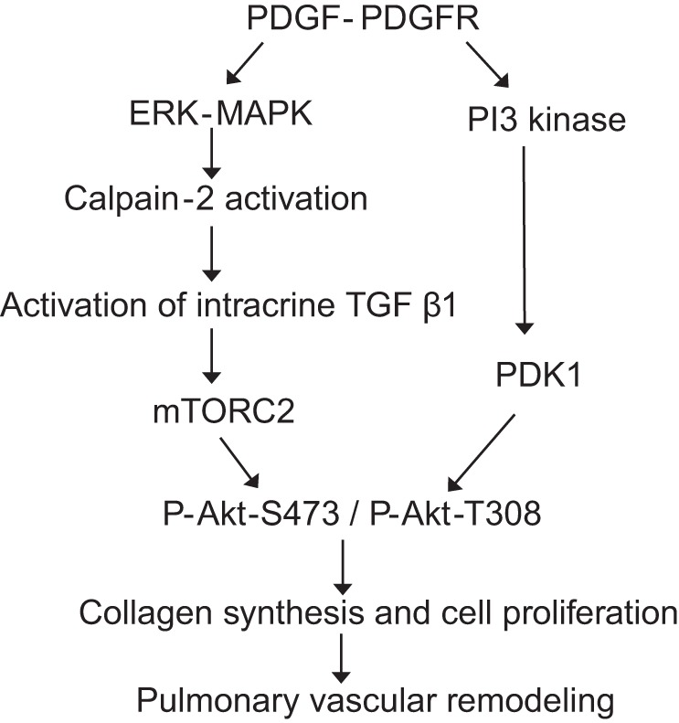 Fig. 13.