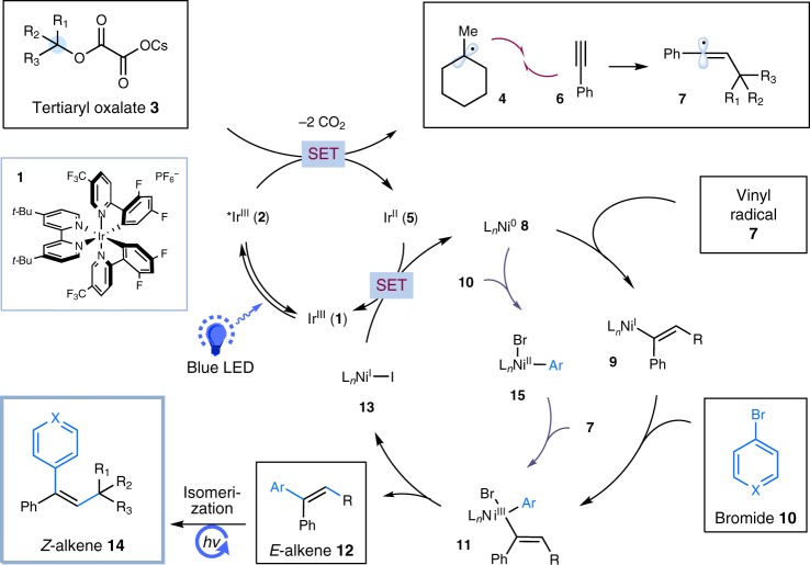 Fig. 2