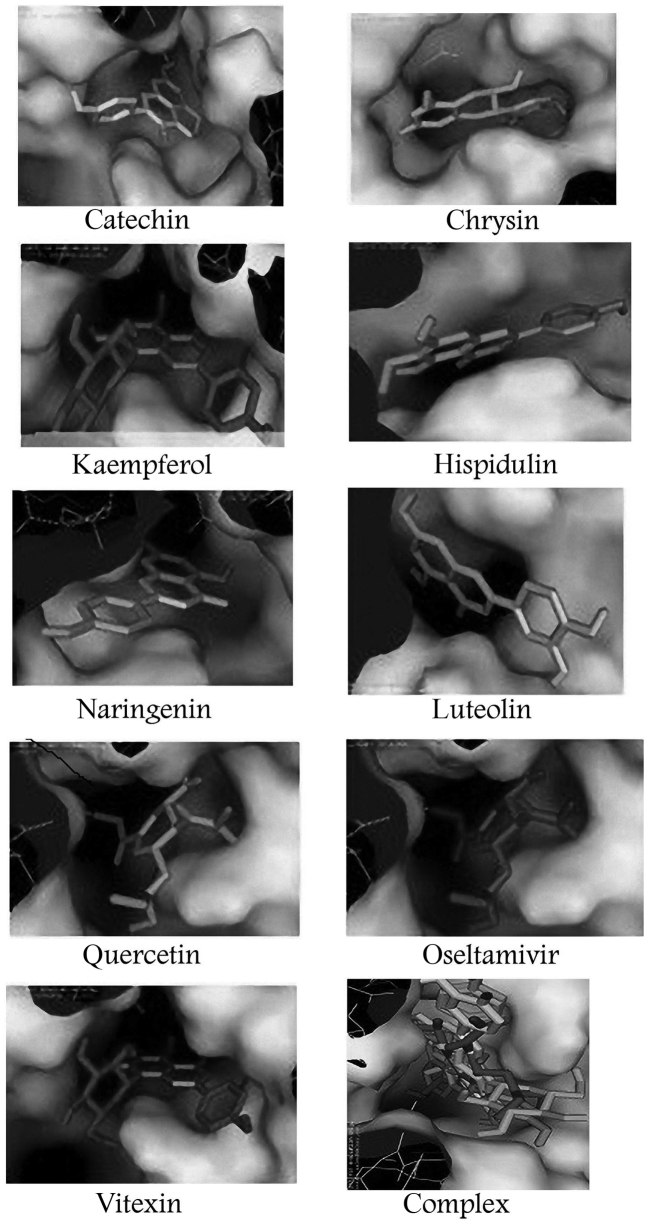 Figure 2.