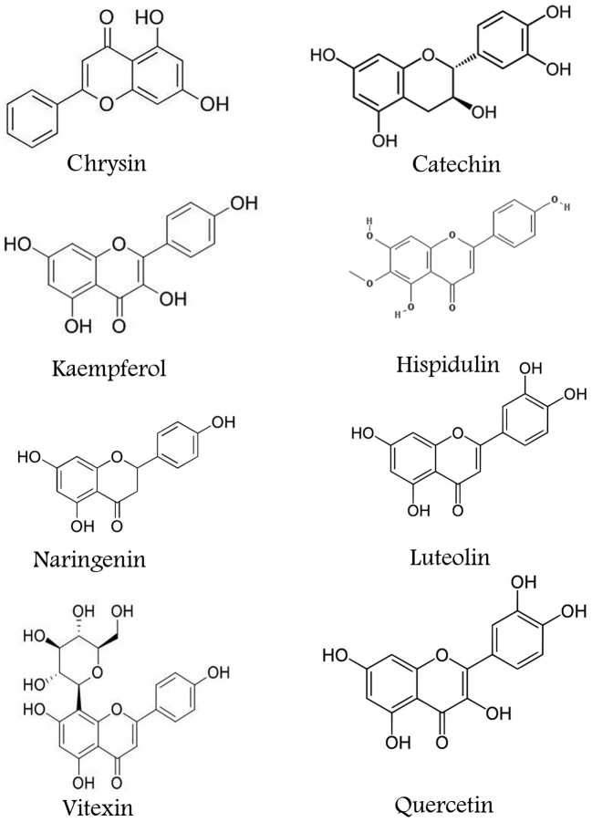 Figure 1.