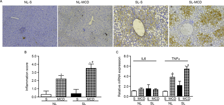 Figure 5