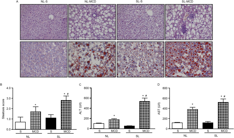 Figure 4