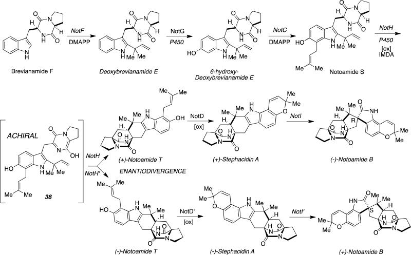 Figure 17