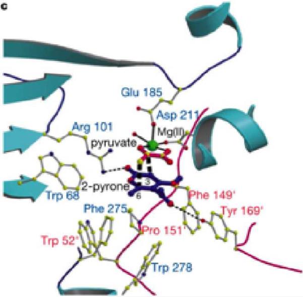 Figure 11