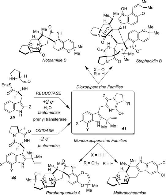 Figure 18