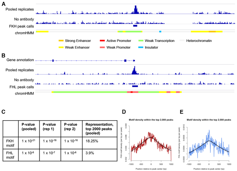 Figure 2: