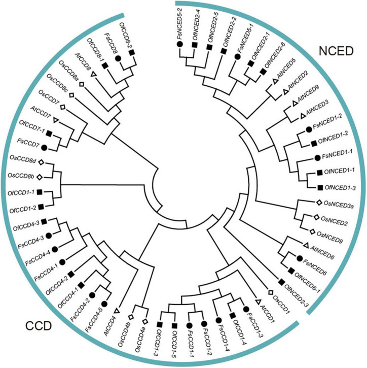 FIGURE 2