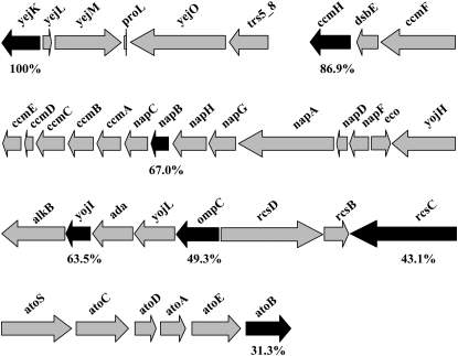 Figure 1.—