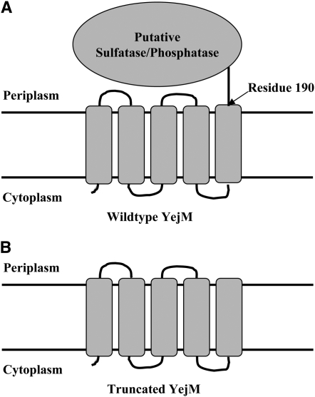 Figure 2.—