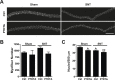 Figure 2—figure supplement 1.