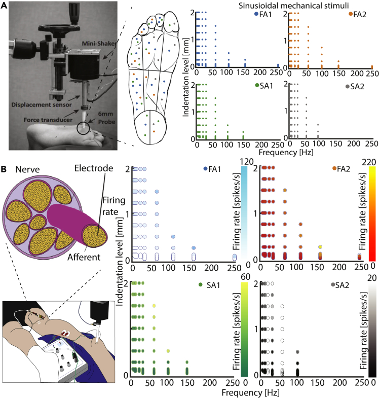 Figure 3