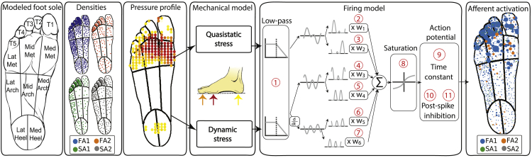 Figure 1