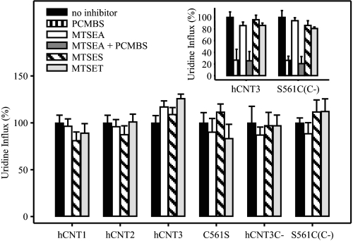 FIGURE 10.