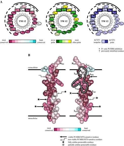 FIGURE 11.