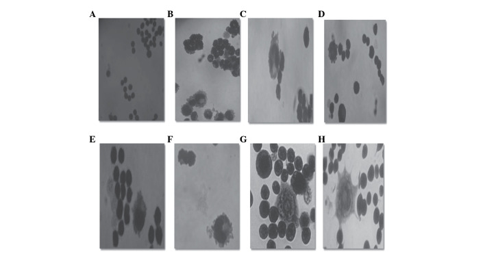 Figure 7.