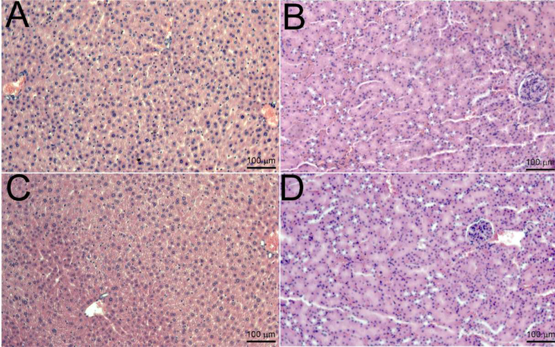 Figure 7: