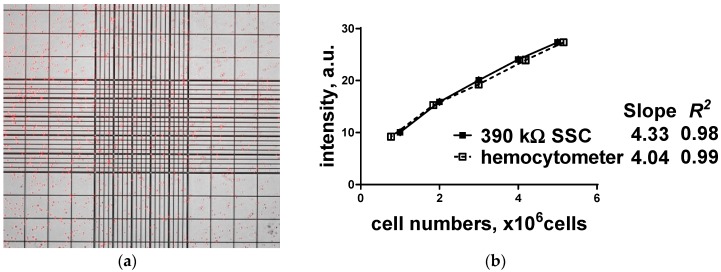 Figure 7