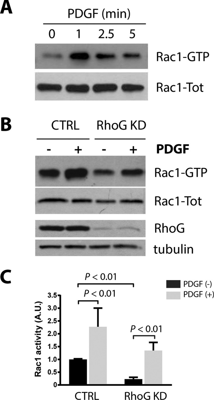 FIGURE 6: