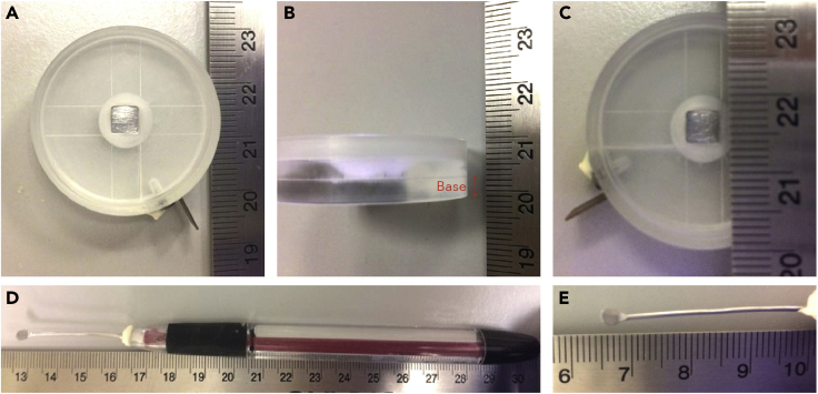 Figure 1