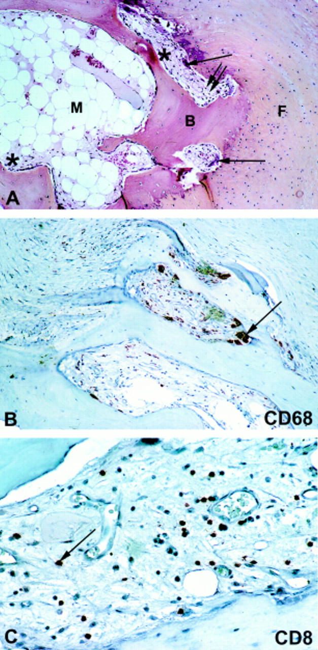 Figure 1  