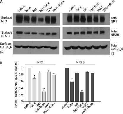 FIGURE 10.