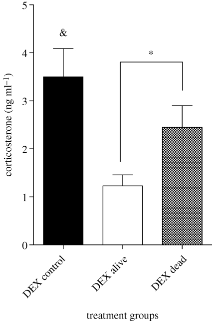 Figure 2.