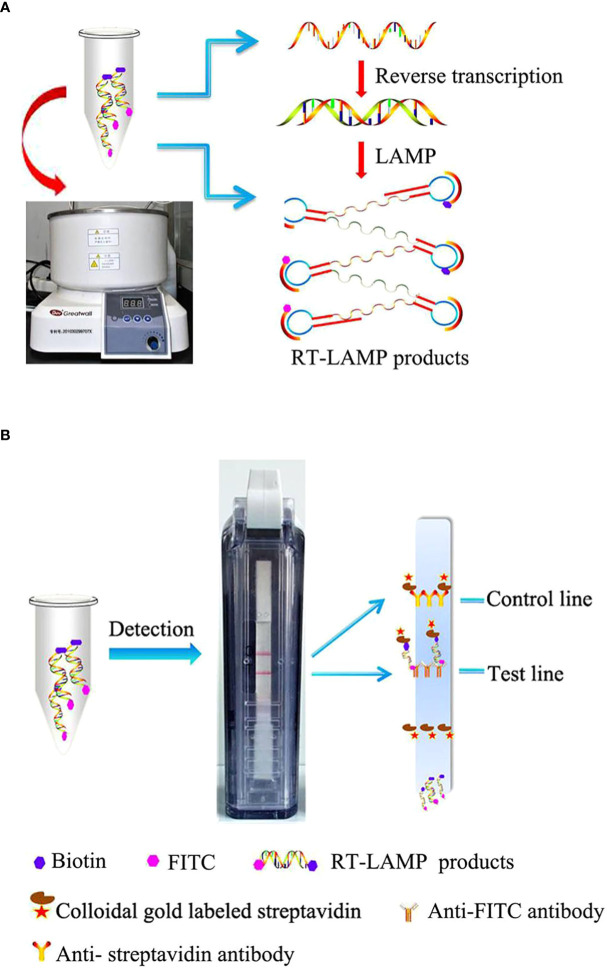 Figure 2