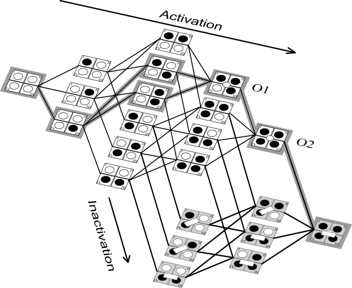 Figure 11. 