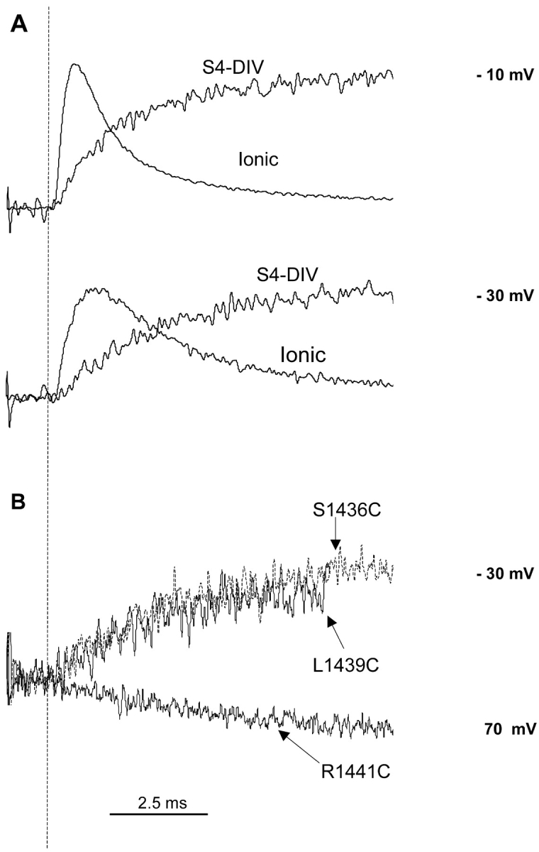 Figure 9. 