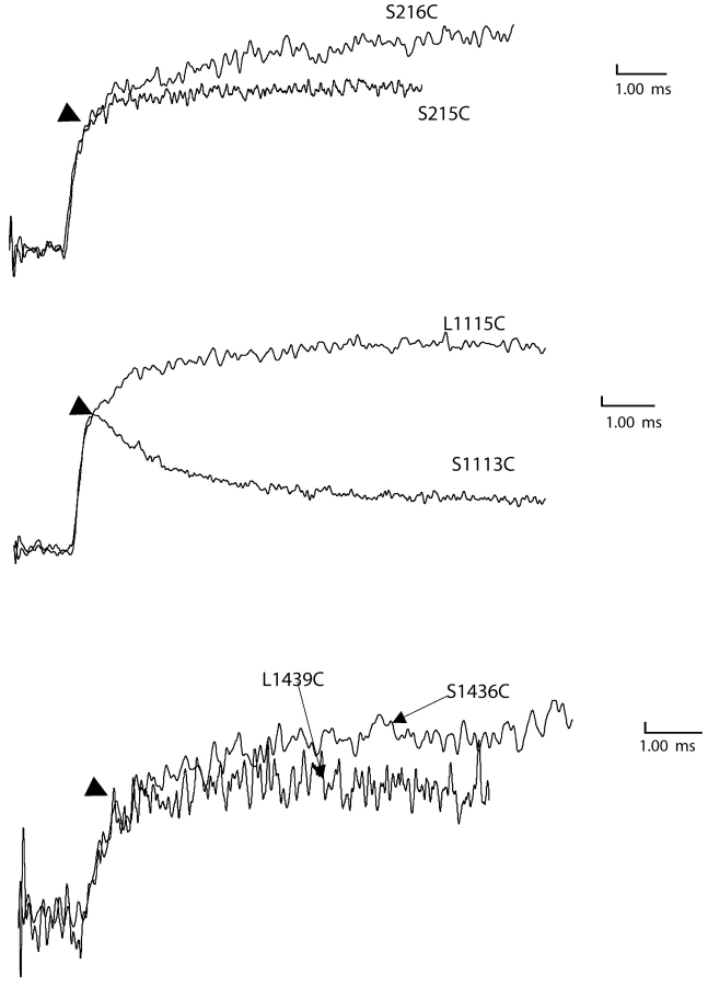 Figure 10. 