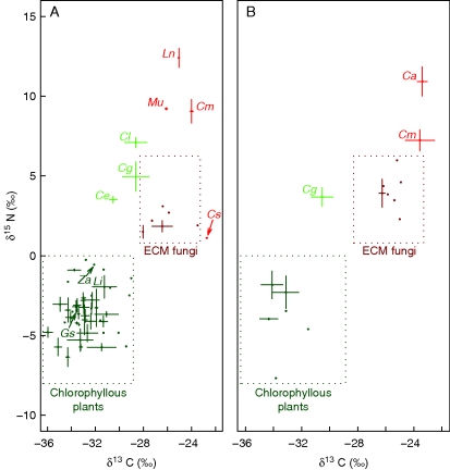 Fig. 3.