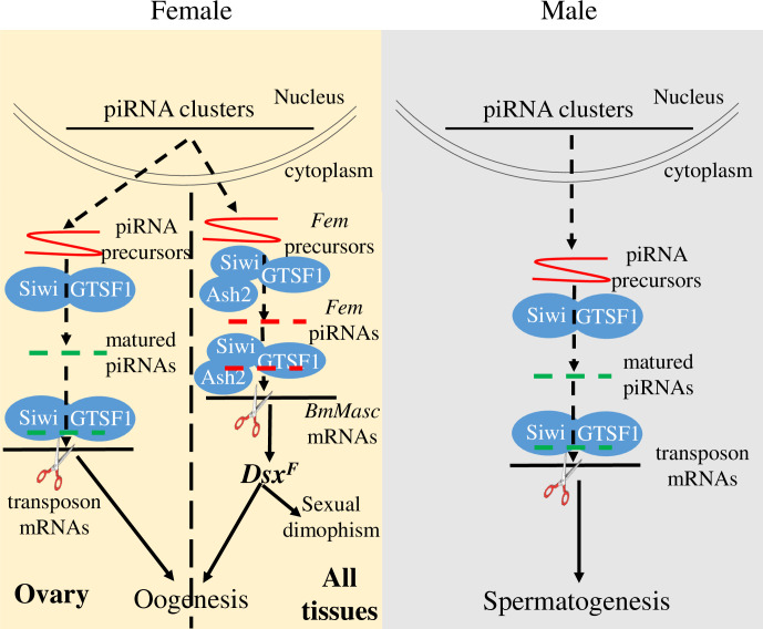 Fig 8