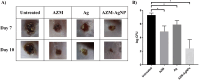 Fig. 9