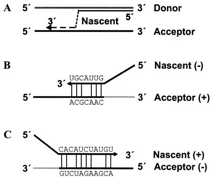 FIG. 5