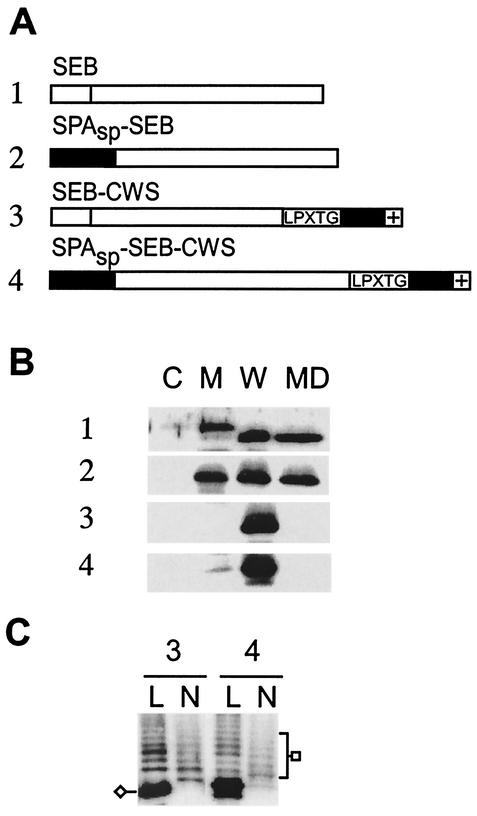 FIG. 8.