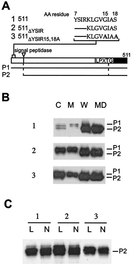 FIG. 3.