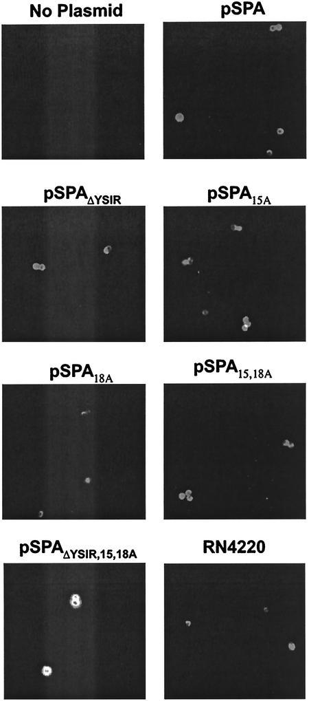 FIG. 6.