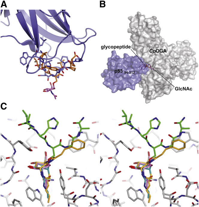 Figure 2