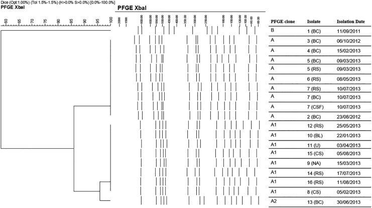 FIG. 2.