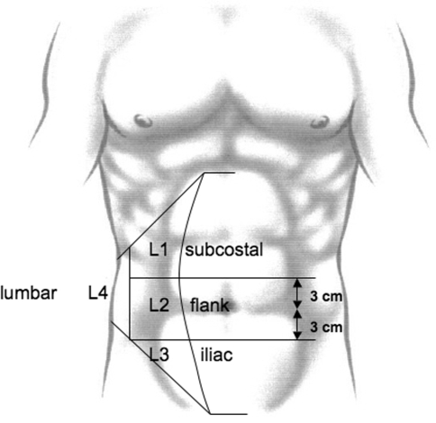 Fig. 2