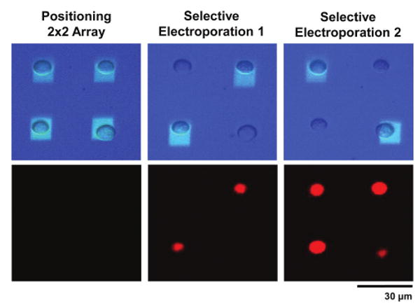 Fig. 3