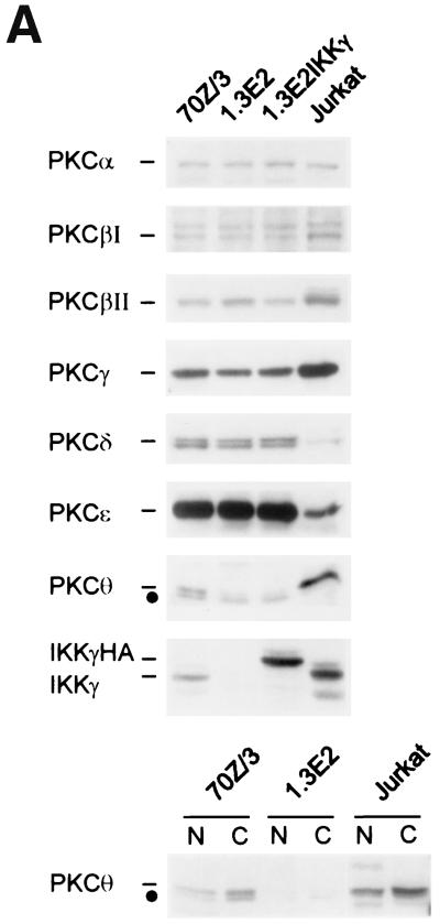 FIG. 5