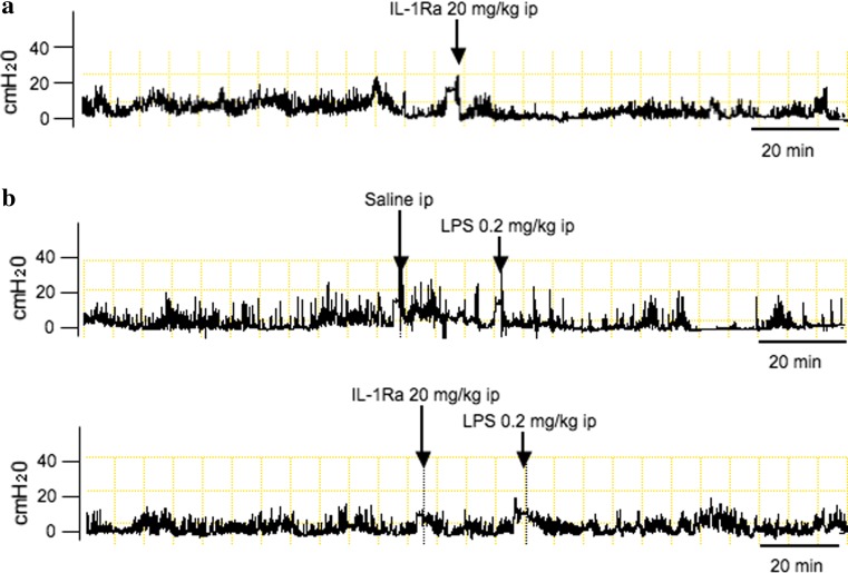 Fig. 3