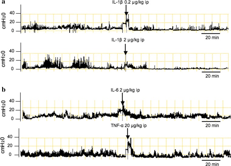 Fig. 2