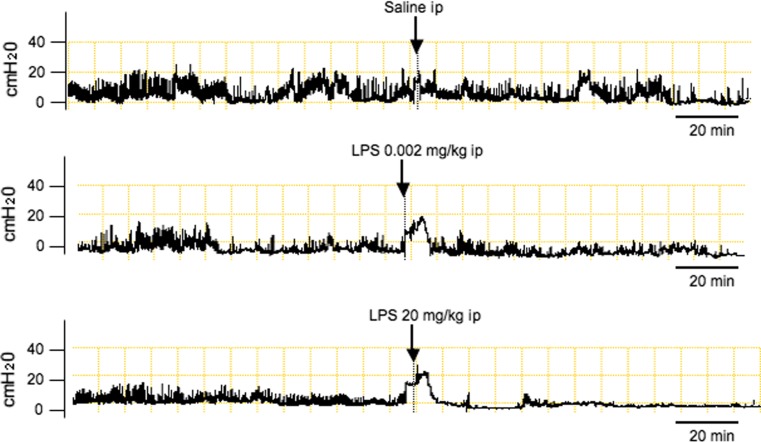 Fig. 1