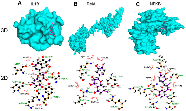 Figure 6