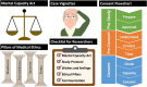 Graphical Abstract