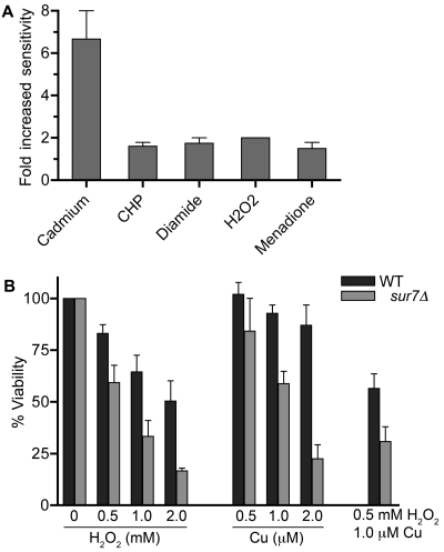 FIG 4 